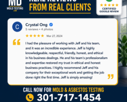 MD Mold Testing Reviews Infographic Crystal