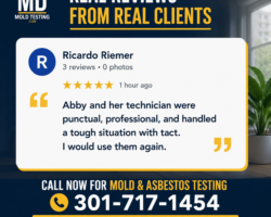 MD Mold Testing Reviews Infographic Ricardo