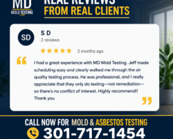 MD Mold Testing Reviews Infographic SD
