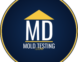 mdmoldtesting-logo-dark-blue.png