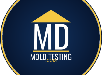 mdmoldtesting-logo-dark-blue.png