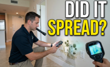 After a Leak in a Neighboring Condo Unit: When to Arrange an Independent Mold Inspection in Pompano Beach
